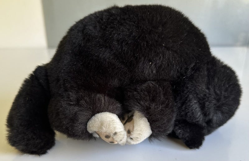 Vintage Steiff kitten plush soft toy Carousel 11