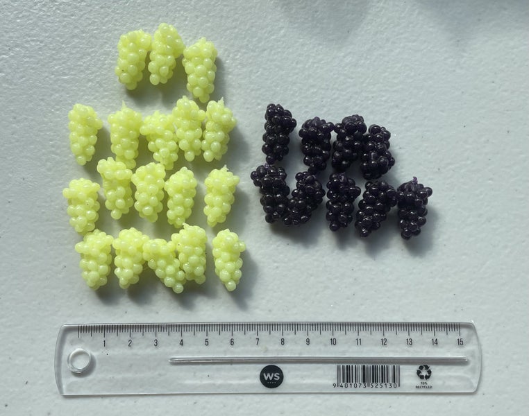Miniature grapes Carousel 1