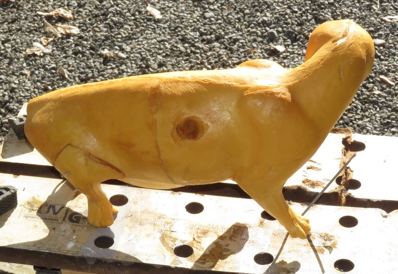 POSSUM = BEST FORM LIFESIZE ART TAXIDERMY ANIMAL FORM PROP TARGET Carousel 4
