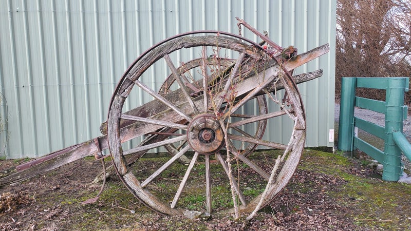Old Farm Horse Dray. Would make good garden feature. Carousel 4