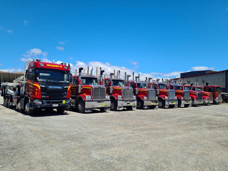 Heagney Bros Ltd Carousel 3