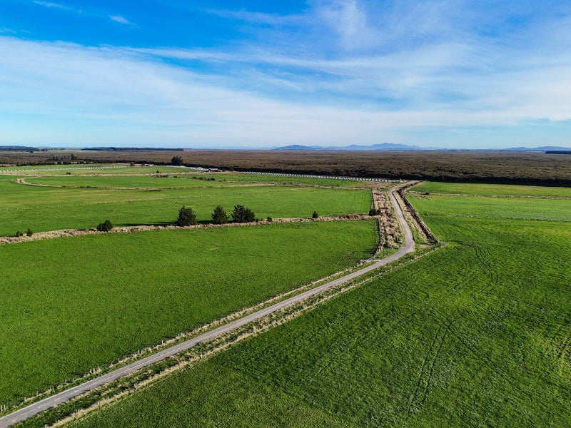 Image 2 of 10