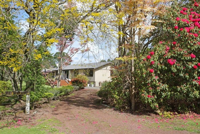 Image 1 of 19