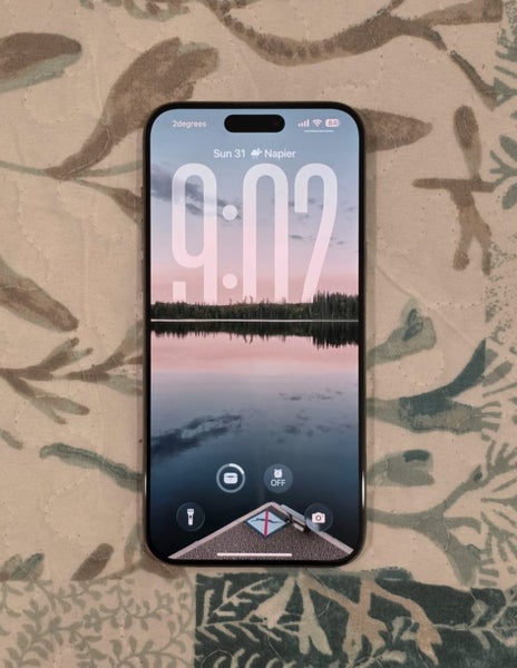 **iPhone 15 Pro Max 256GB ($1 Reserve)**63723298976130111