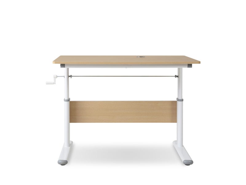 Standing Desk Carousel 2