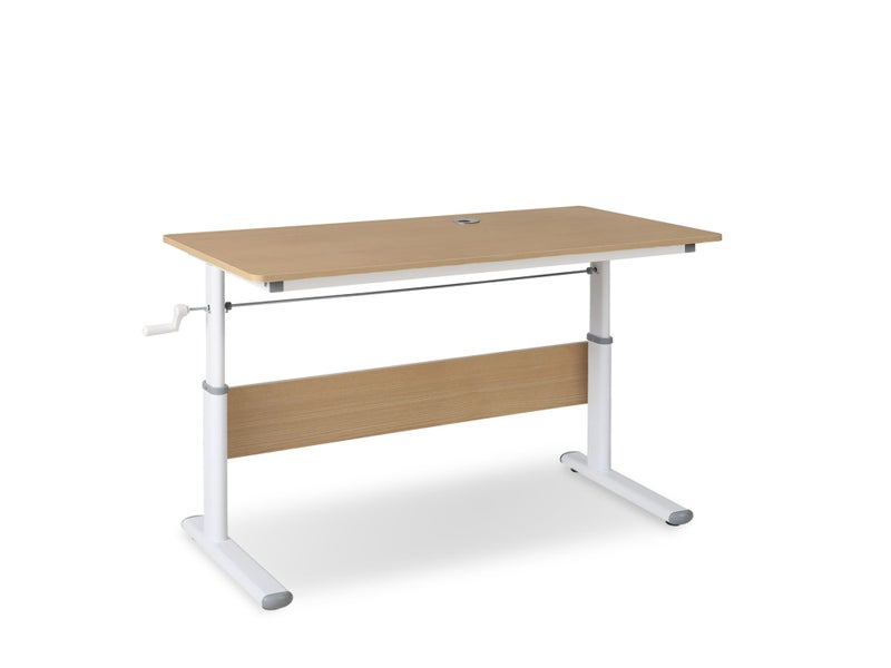 Standing Desk Carousel 2