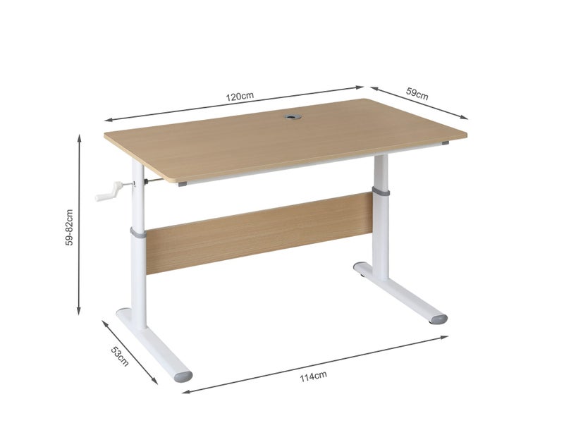 Standing Desk Carousel 7