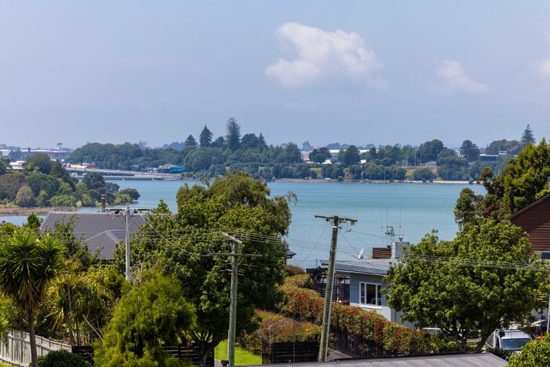 Image 1 of 44