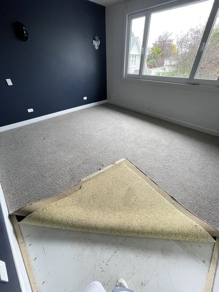 Cavaleir Bremworth Carpet & Underlay63617473989634111