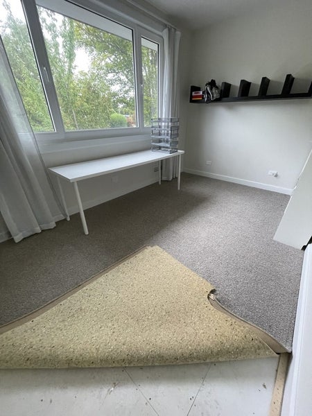 Cavaleir Bremworth Carpet & Underlay63617473989634113
