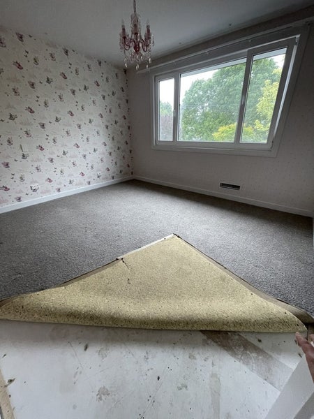 Cavaleir Bremworth Carpet & Underlay63617473989634112