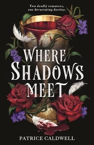 Where Shadows Meet Where Shadows Meet By Patrice Caldwell ISBN 9781471411861 Carousel 1