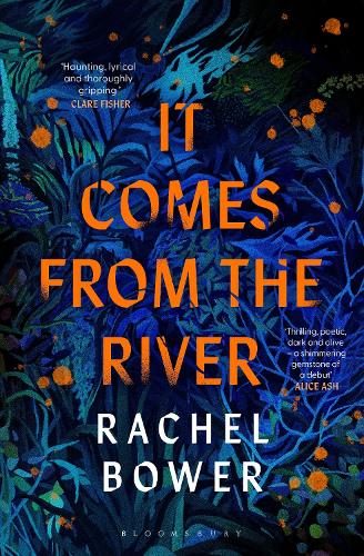 It Comes from the River It Comes from the River By Rachel Bower ISBN 97815266726 Carousel 1