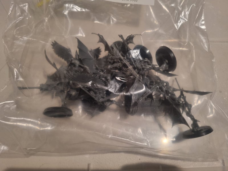 Dark Eldar Scourges (Unpainted) Carousel 1