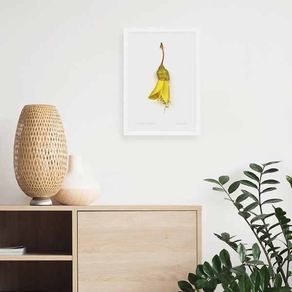 Flora Kowhai Single A3 Print Carousel 2