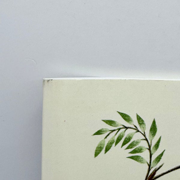 Brushwork by Marion Hudson64522956353409111