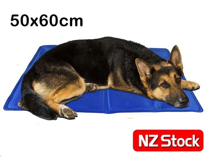 PET Cooling Mat NZ Clearance Carousel 1