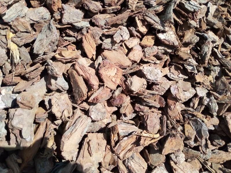 GRADE 3 SMALL BARK NUGGET64314892988931111