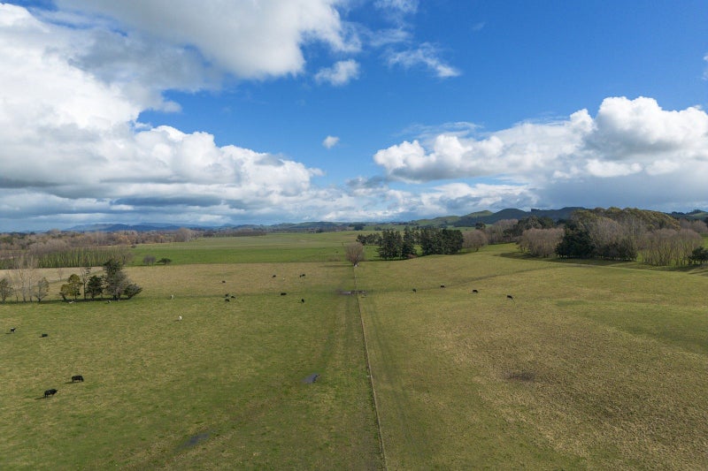 Image 3 of 19