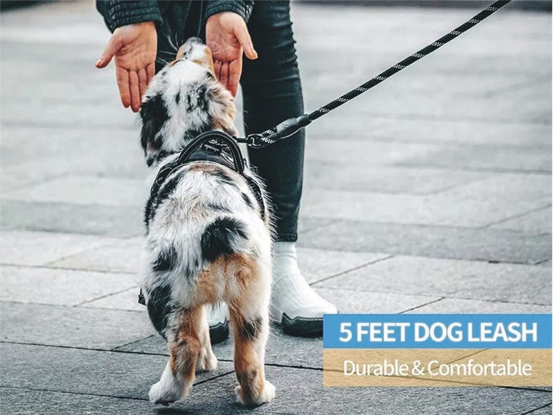 Dog Harness (OVER STOCKED) Carousel 5