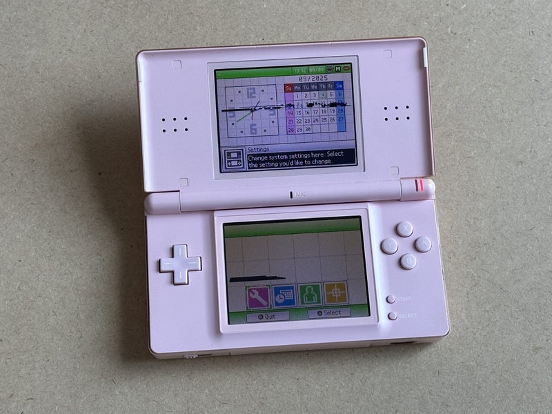 Pink Nintendo DS lite Carousel 8