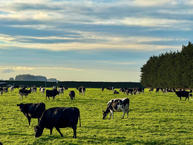 Quality Southland Dairy Unit63614813498369114