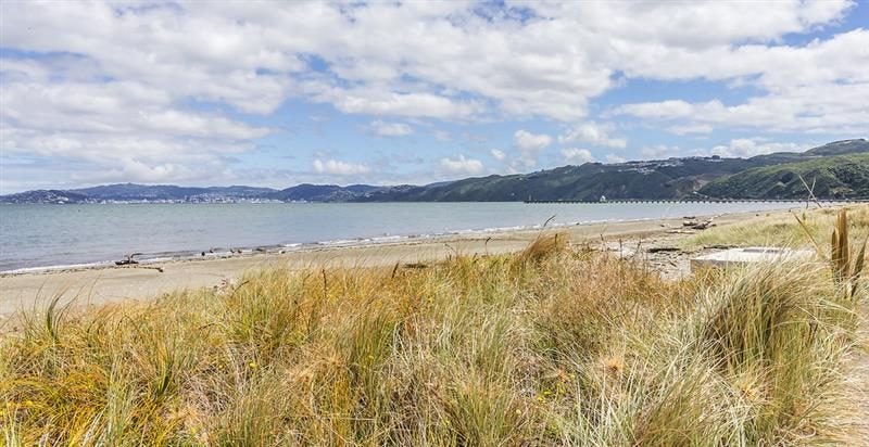 Petone, 3 bedrooms63614815968641111