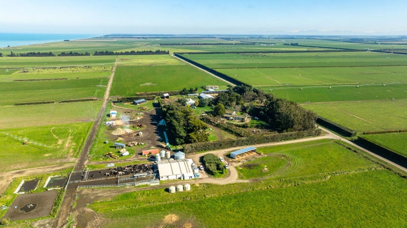 Seldom Available - 223ha Tier One Dairy Farm63620534403458111