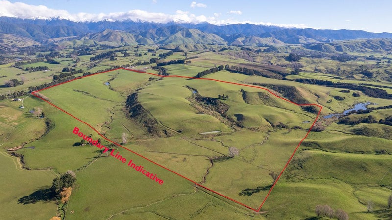Prime Location with Exceptional Sell-Down Options63620865274499112