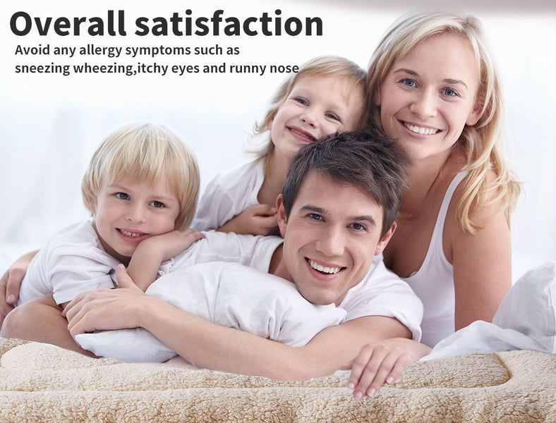 Dreamz Mattress Topper 100% Wool Underlay Reversible Mat Pad Protector Double Carousel 9