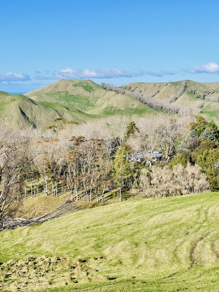 Waimarama, 4 bedrooms64580560595969112