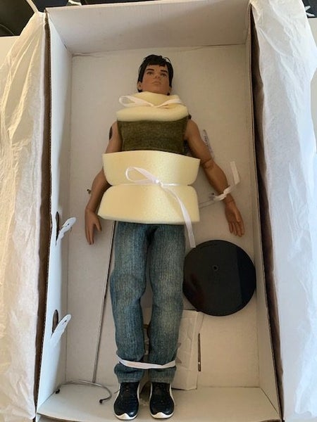 RARE 2009 Tonner Jacob Black Collector Doll – Twilight Series Carousel 1