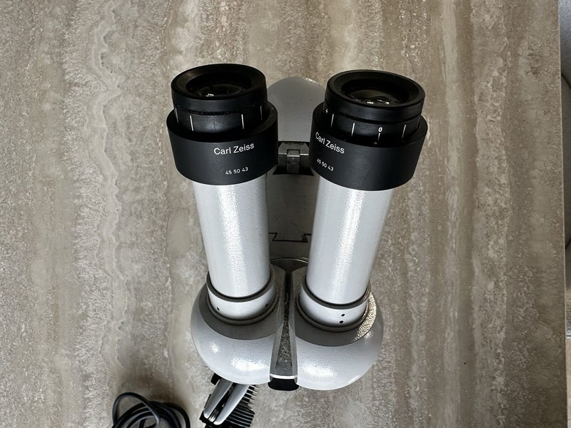 Carl Zeiss Stereo Microscope with Gooseneck Light Carousel 6