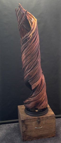 Twisted nature Carousel 1