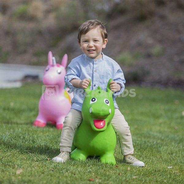 Jumping Bouncy Dinosaur Carousel 3