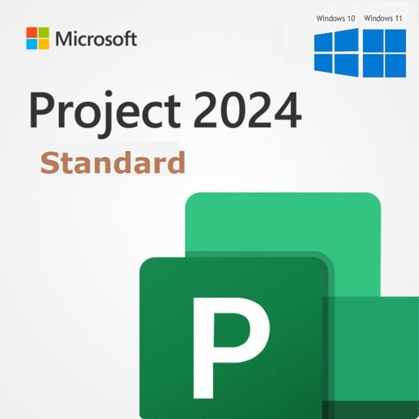 Microsoft Project Standard 2024 Carousel 1
