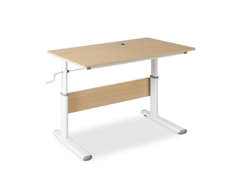 Standing Desk Carousel 1