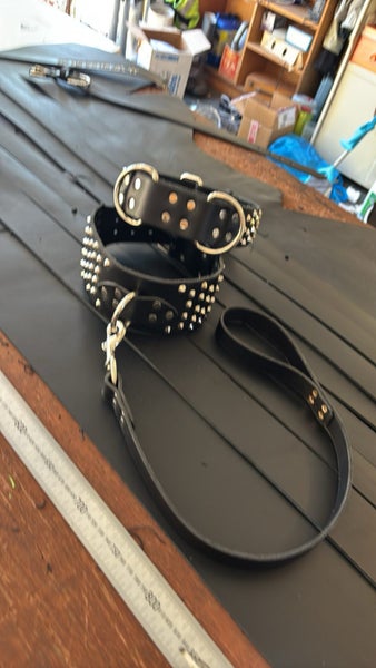 Custom Named Dog Collars Carousel 2