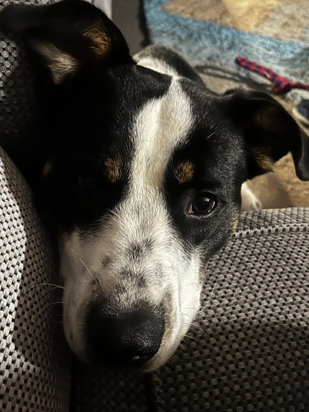 River 11 month old Carousel 1