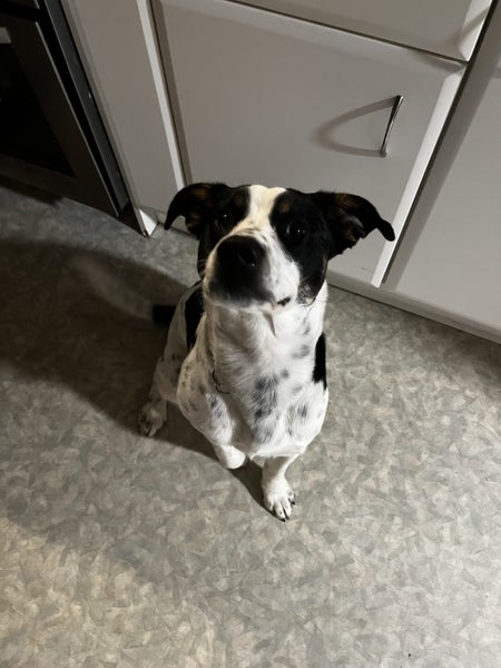River 11 month old Carousel 5