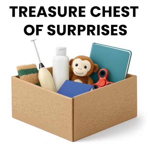 Treasure Chest of Surprises Carousel 1