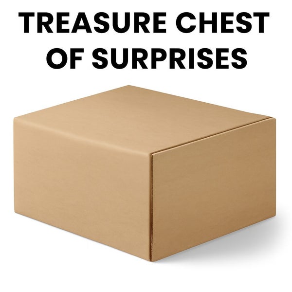 Treasure Chest of Surprises Carousel 2