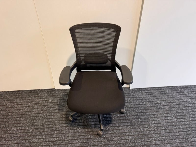 Ergonomic Office Chair with arms Carousel 2