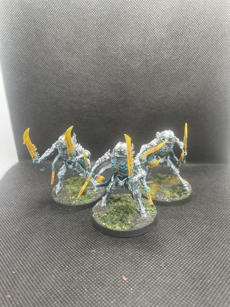 Ossiarch Bonereapers Army - Fully Painted63667589330051113
