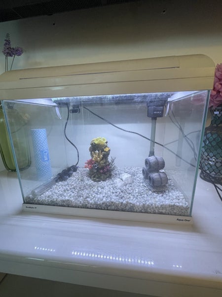 Fish Tank Carousel 2