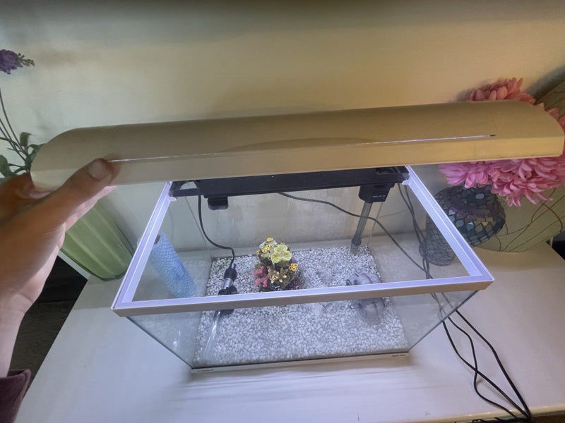 Fish Tank Carousel 3