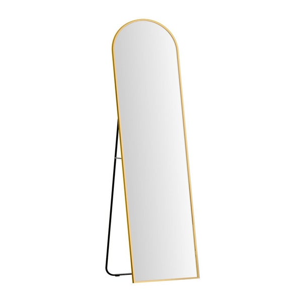 Full Length Mirror Floor Dressing Mirror 160cm64229830601090110