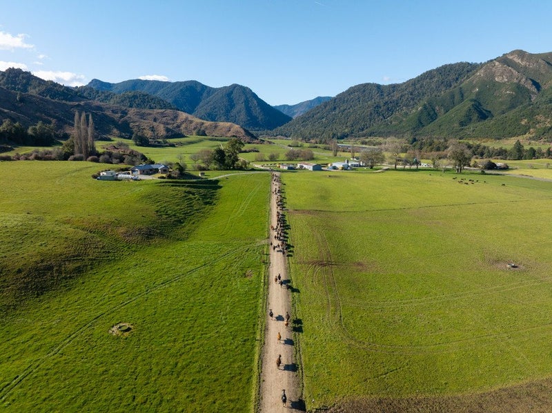 Cash flowing as Strong as the Milk?63667608751233113