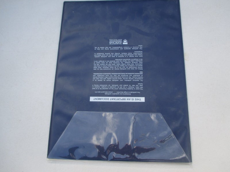 ETCHING PRINCE DMITRY VLADIMIROVICH GOLITEYN , GENERAL OF CAVALRY 1823 Carousel 4