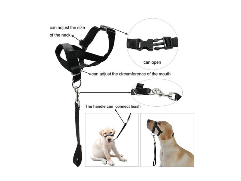 Dog Collar NZ Local Buy Now Carousel 2